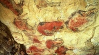 Altamira cave paintings to be opened to the public once again